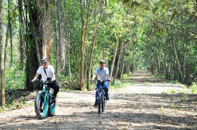 Đạp xe khoảng 8 km quanh rừng tràm gió.