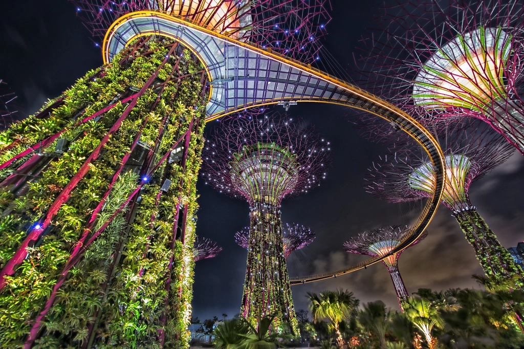 Hệ thống “siêu cây” khổng lồ tại Bay South Garden. Hệ thống “siêu cây” khổng lồ tại Bay South Garden.