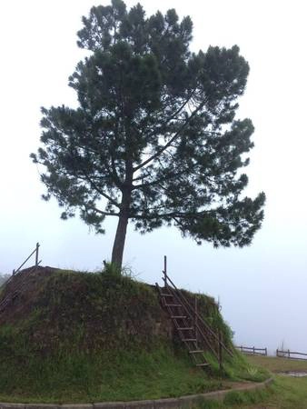 Đồi một cây (One tree hill), nơi ngắm mặt trời mọc đẹp nhất ở Toba. Ảnh: Mỹ Hòa Đồi một cây (One tree hill), nơi ngắm mặt trời mọc đẹp nhất ở Toba. Ảnh: Mỹ Hòa