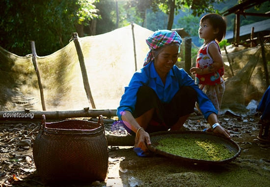 Hãy một lần đến Yên Bái vào mùa lúa chín và thử cốm Tú Lệ. Ảnh: Dovietcuong Hãy một lần đến Yên Bái vào mùa lúa chín và thử cốm Tú Lệ. Ảnh: Dovietcuong