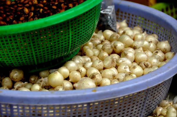 Củ nén hay củ ném theo các gọi của người Huế thuộc họ hành, tỏi là loại củ được nhiều người chọn mua bởi vị hương thơm hơn tỏi. Đây là loại nguyên liệu chế biến thức ăn không thể thiếu đối với ẩm thực miền Trung.