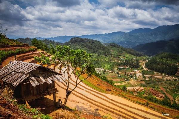 Họ cũng đón thêm nước từ những khe suối qua ống nứa vào ruộng để cấy cày. Họ cũng đón thêm nước từ những khe suối qua ống nứa vào ruộng để cấy cày.