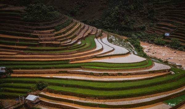 Mùa nước đổ ở Mù Cang Chải kéo dài từ tháng 5 đến hết tháng 6. Bạn có thể tới đây bằng xe khách hoặc xe máy theo hướng Hà Nội - Than Uyên (Lai Châu). Mùa nước đổ ở Mù Cang Chải kéo dài từ tháng 5 đến hết tháng 6. Bạn có thể tới đây bằng xe khách hoặc xe máy theo hướng Hà Nội - Than Uyên (Lai Châu).