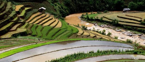 La Pán Tẩn, Chế Cu Nha, cầu Ba Nhà, bản Thái ở huyện Mù Cang Chải là những điểm du khách không thể bỏ qua. La Pán Tẩn, Chế Cu Nha, cầu Ba Nhà, bản Thái ở huyện Mù Cang Chải là những điểm du khách không thể bỏ qua.