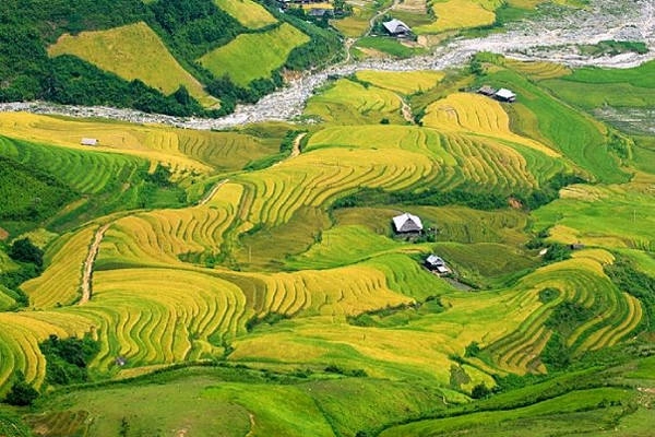 Mù Cang Chải mùa lúa chín. Ảnh: Lekima Hung Mù Cang Chải mùa lúa chín. Ảnh: Lekima Hung
