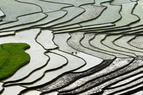 Mù Cang Chải mùa nước đổ. Ảnh: Lekima Hung Mù Cang Chải mùa nước đổ. Ảnh: Lekima Hung