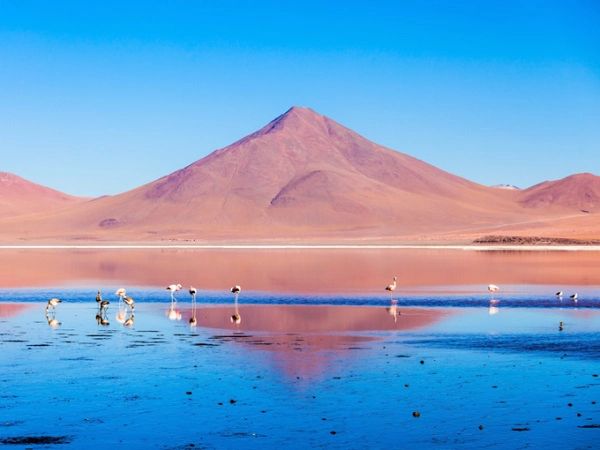 Andes, Bolivia Trải dài hơn 7.400 km, Andes là dãy núi dài nhất thế giới. Nằm ở cao nguyên của Bolivia, ngay sau dãy Andes hùng vĩ là hồ Laguna Colorada thường được gọi như vũng đỏ. Vùng nước nông và mặn nơi đây thu hút những con chim hồng hạc Andean về sinh sống, đây là loài hồng hạc hiếm nhất thế giới. Ảnh: Shutterstock. Andes, Bolivia Trải dài hơn 7.400 km, Andes là dãy núi dài nhất thế giới. Nằm ở cao nguyên của Bolivia, ngay sau dãy Andes hùng vĩ là hồ Laguna Colorada thường được gọi như vũng đỏ. Vùng nước nông và mặn nơi đây thu hút những con chim hồng hạc Andean về sinh sống, đây là loài hồng hạc hiếm nhất thế giới. Ảnh: Shutterstock.