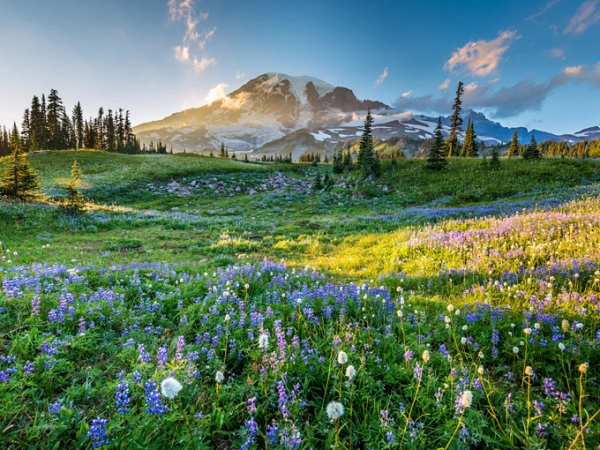 Rainier, Washington, Mỹ Vùng Rainier không chỉ có một ngọn núi lửa mà còn trải rộng và tạo ra 6 dòng sông khác. Đỉnh Rainier thường xuyên đóng băng, những du khách định leo núi ở đây phải chuẩn bị thật kỹ trước khi đi. Dù vào tháng 7, ở Rainier vẫn có tuyết rơi ở độ cao 1.500 - 2.400 m. Ảnh: Shutterstock. Rainier, Washington, Mỹ Vùng Rainier không chỉ có một ngọn núi lửa mà còn trải rộng và tạo ra 6 dòng sông khác. Đỉnh Rainier thường xuyên đóng băng, những du khách định leo núi ở đây phải chuẩn bị thật kỹ trước khi đi. Dù vào tháng 7, ở Rainier vẫn có tuyết rơi ở độ cao 1.500 - 2.400 m. Ảnh: Shutterstock.