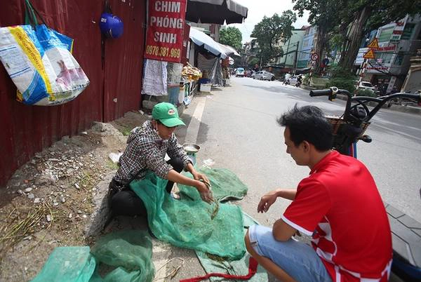 Trên nhiều con phố, những khu chợ cóc, hay chợ bán chim, những túi ni lông đựng châu chấu sống được người bán chia thành túi nhỏ khoảng 20 - 30 con, giá 10.000 đồng. Một buổi sáng, người bán có thể thu được ngót một triệu đồng/2kg.