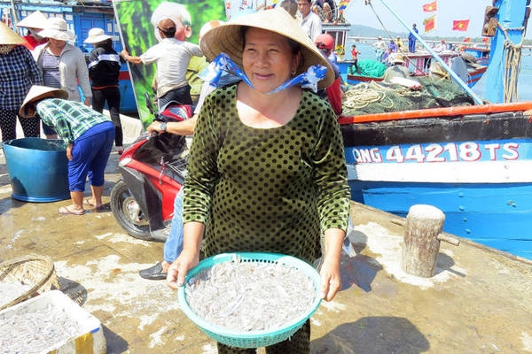 Một tiểu thương hớn hở vừa thu mua được rổ cá cơm mồm tươi rói - Ảnh: Minh Kỳ Một tiểu thương hớn hở vừa thu mua được rổ cá cơm mồm tươi rói - Ảnh: Minh Kỳ