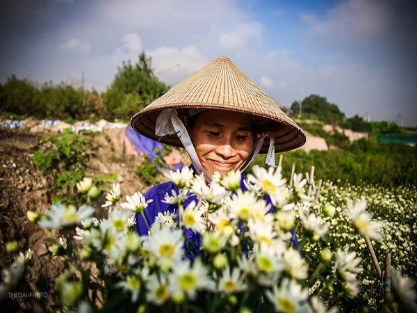 dong-sap-den-roi-cu-nhin-nhung-bong-cuc-hoa-mi-tinh-khoi-xuong-pho-thi-ro-ivivu-10