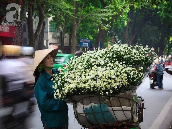 dong-sap-den-roi-cu-nhin-nhung-bong-cuc-hoa-mi-tinh-khoi-xuong-pho-thi-ro-ivivu-5