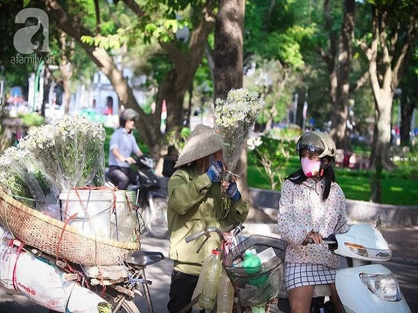 dong-sap-den-roi-cu-nhin-nhung-bong-cuc-hoa-mi-tinh-khoi-xuong-pho-thi-ro-ivivu-6