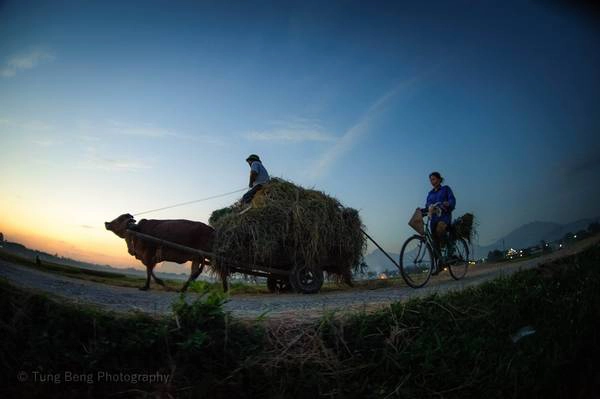 Cách thủ đô Hà Nội chỉ khoảng 45 phút đi xe, cuộc sống ở xã Kim Long, huyện Tam Dương, tỉnh Vĩnh Phúc vẫn giữ được những nét đẹp mộc mạc, giữ đậm chất làng quê Bắc Bộ xưa. Cách thủ đô Hà Nội chỉ khoảng 45 phút đi xe, cuộc sống ở xã Kim Long, huyện Tam Dương, tỉnh Vĩnh Phúc vẫn giữ được những nét đẹp mộc mạc, giữ đậm chất làng quê Bắc Bộ xưa.