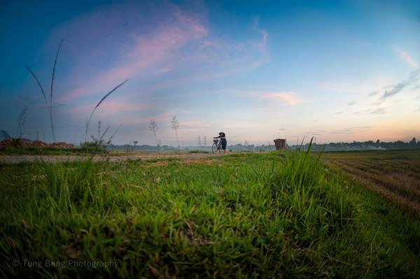 Đã sinh ra từ làng, khi đi ra, không ai là không nhớ da diết hương vị của làng quê, không khí tấp nập của vụ mùa và những buổi chiều thong dong ngắm những cánh đồng bao la. Đã sinh ra từ làng, khi đi ra, không ai là không nhớ da diết hương vị của làng quê, không khí tấp nập của vụ mùa và những buổi chiều thong dong ngắm những cánh đồng bao la.