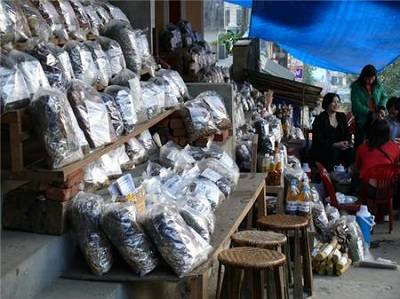Nhiều loại thuốc quý được bày bán ở chợ tại Sapa Nhiều loại thuốc quý được bày bán ở chợ tại Sapa