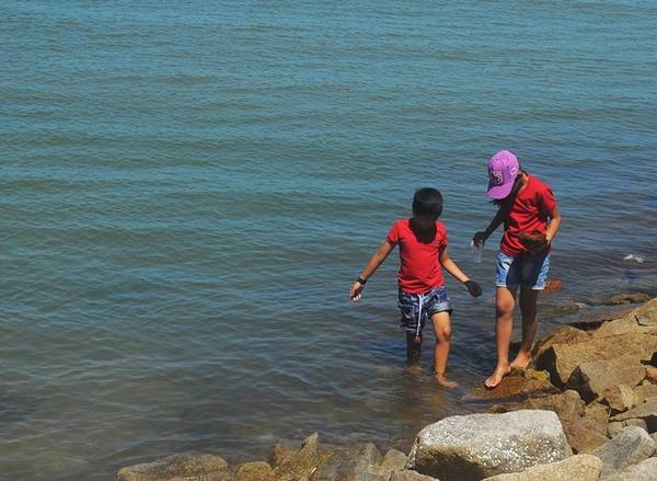 Tàu ra đảo có 4 chuyến chính là 6h, 12h từ đất liền và ngược lại 14h và 17h từ đảo về. Ngoài ra, có những hôm tàu chạy thêm vào 9h, 10h30. Các ngày cuối tuần, lượng khách đông, nên số chuyến có thể tăng lên. Giá mỗi lượt đi tàu là 10.000 đồng. Bạn sẽ mất khoảng 45 phút đến một tiếng để ra đảo. 