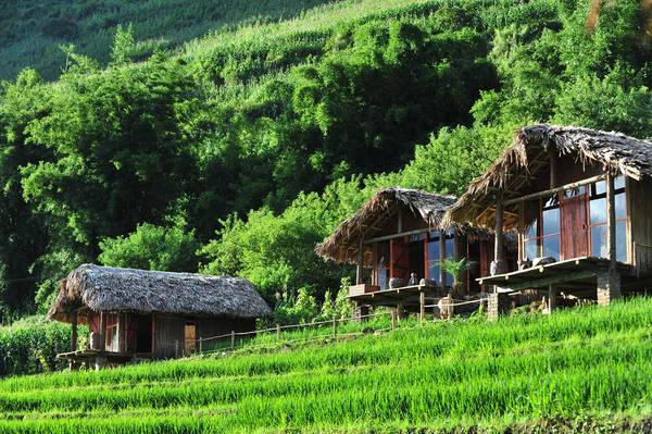 Ảnh: ecopalmshouse Ảnh: ecopalmshouse