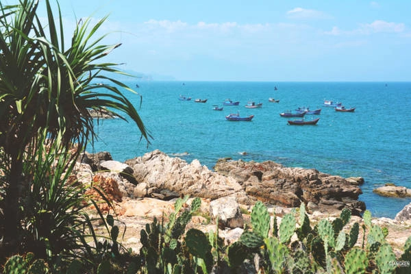 Miền đất “hoa vàng cỏ xanh” Phú Yên với những địa hình kỳ lạ có vô số điểm đến hấp dẫn: Gành Đá Dĩa như tổ ong xếp lớp, Gành Yến, Gành Đèn, Gành Ông, Bãi Xép, đầm Ô Loan… Tới đây, bạn không thể bỏ qua các món ăn đặc sản từ cá ngừ. Miền đất “hoa vàng cỏ xanh” Phú Yên với những địa hình kỳ lạ có vô số điểm đến hấp dẫn: Gành Đá Dĩa như tổ ong xếp lớp, Gành Yến, Gành Đèn, Gành Ông, Bãi Xép, đầm Ô Loan… Tới đây, bạn không thể bỏ qua các món ăn đặc sản từ cá ngừ.