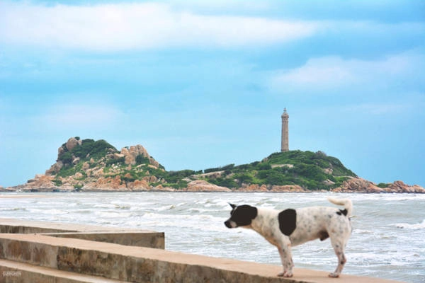 Hành trình bắt đầu từ Vũng Tàu, nhưng phần lớn dân đi đều chọn xuất phát từ TP.HCM. Qua đèo Nước Ngọt (Bà Rịa - Vũng Tàu), hãy chuẩn bị tinh thần để đón những ngày hè rực lửa. Một trong những điểm đến không thể bỏ qua đầu tiên là hải đăng Kê Gà - ngọn hải đăng cổ nhất Việt Nam tại Bình Thuận. Hành trình bắt đầu từ Vũng Tàu, nhưng phần lớn dân đi đều chọn xuất phát từ TP.HCM. Qua đèo Nước Ngọt (Bà Rịa - Vũng Tàu), hãy chuẩn bị tinh thần để đón những ngày hè rực lửa. Một trong những điểm đến không thể bỏ qua đầu tiên là hải đăng Kê Gà - ngọn hải đăng cổ nhất Việt Nam tại Bình Thuận.