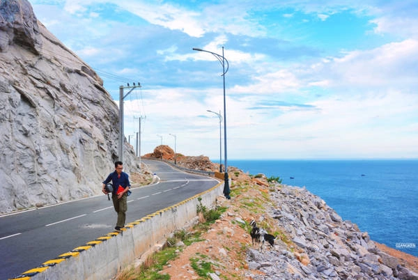 Đường từ Phan Rang đến Cam Ranh vẽ một vòng cung ôm lấy Vườn quốc gia Núi Chúa, nơi mà cả sa mạc và rừng thẳm đều hội tụ. Có thể nói đây là đoạn đẹp và hoang sơ nhất trong hành trình. Đường từ Phan Rang đến Cam Ranh vẽ một vòng cung ôm lấy Vườn quốc gia Núi Chúa, nơi mà cả sa mạc và rừng thẳm đều hội tụ. Có thể nói đây là đoạn đẹp và hoang sơ nhất trong hành trình.