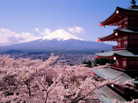 Hoa anh đào ở đền Kiyomizu tại Kyoto