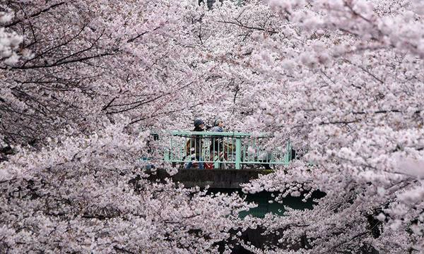 Ảnh: Toru Yamanaka/AFP