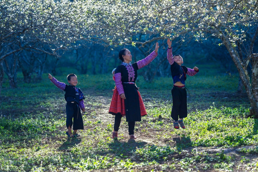 Xuân về trên bản Phiêng Cành - Ảnh: CAO KỲ NHÂN