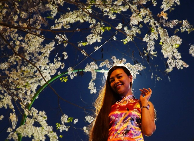 Chị Thùy Anh, người Đà Lạt hiện học tại Hà Nội, tình cờ thấy hoa nở đẹp bên đường Thanh Niên cũng dừng xe lại để chụp vài bức ảnh lưu nhớ thời gian ở thủ đô.