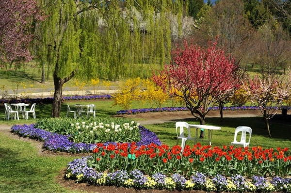 Ghế để người dân ngồi ngắm hoa ở công viên - Ảnh: N.N.TUẤN