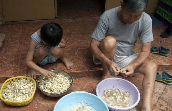Cháu phụ ông lặt kiệu - Ảnh: Trân Duy Cháu phụ ông lặt kiệu - Ảnh: Trân Duy
