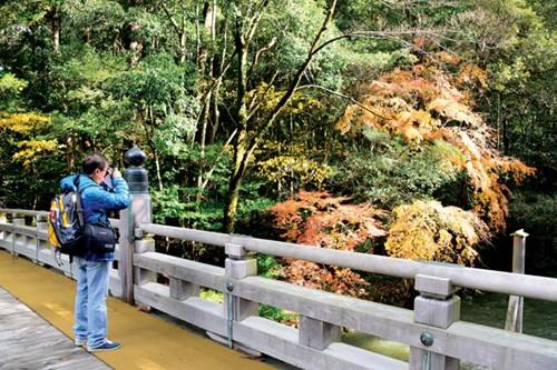 Vẻ đẹp từ những gam màu thiên nhiên của mùa Momiji đem lại những cảm xúc riêng cho lữ khách Vẻ đẹp từ những gam màu thiên nhiên của mùa Momiji đem lại những cảm xúc riêng cho lữ khách