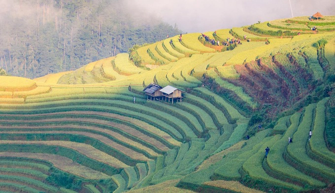 Xa xa, các nhiếp ảnh gia cùng nhau tác nghiệp quanh khu vực đồi mâm xôi. Tại Mù Cang Chải còn nhiều khu vực thu hút các tay máy bởi đường nét được cho là giống móng ngựa, mũi giày, con mắt…