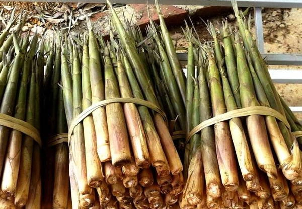Măng sặt được bó thành từng bó nhỏ - Ảnh: N.T.Lượng Măng sặt được bó thành từng bó nhỏ - Ảnh: N.T.Lượng