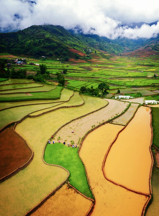 Những gam màu khác nhau trên ruộng bậc thang Tú Lệ, nằm giữa 3 ngọn núi cao Khau Phạ, Khau Thán và Khau Song.