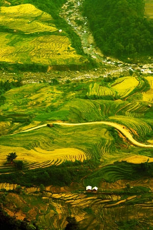 Ảnh: Bảo Ngọc Phạm