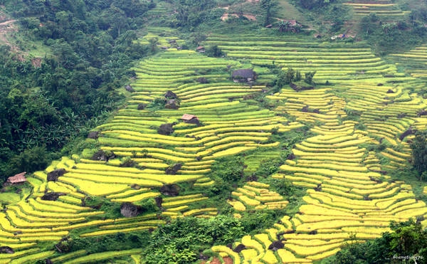 Ảnh: Tung76 Hoang