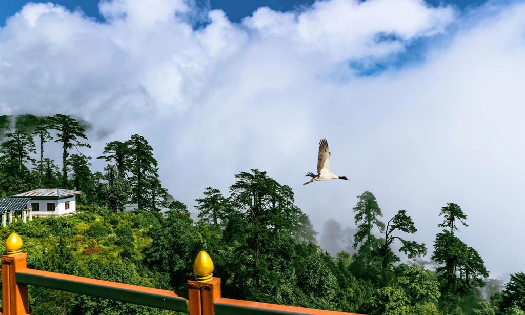 Tiger's Nest cũng được xem là một trong những nơi lạnh nhất ở Bhutan. Tu viện ẩn hiện sau những hàng cây và vách đá cheo leo đầy kỳ diệu, xen lẫn là những lớp sương mù và mây trắng bồng bềnh. Tại đây, bạn có thể nhìn toàn cảnh thung lũng Paro bên những góc ban công xinh xắn của mỗi ngôi điện. Ảnh: 52perfectdays.