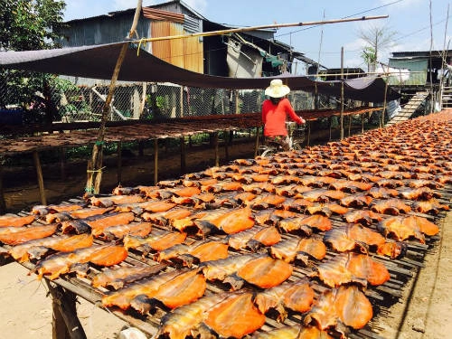 Những khoảng sân vàng rực một màu khô ở vùng biên giới Tây Nam. Ảnh: Hà Quốc Anh Những khoảng sân vàng rực một màu khô ở vùng biên giới Tây Nam. Ảnh: Hà Quốc Anh