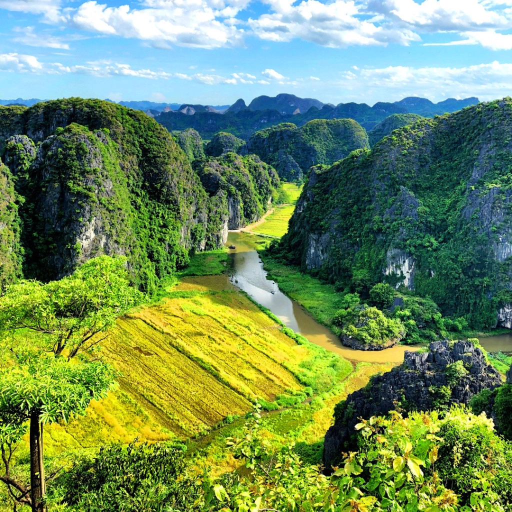 Hang Múa được xem là một trong những nơi đẹp nhất để thưởng thức cũng như chụp ảnh mùa vàng Tam Cốc. Ảnh: @ibedzl - @ashley_monter. Hang Múa được xem là một trong những nơi đẹp nhất để thưởng thức cũng như chụp ảnh mùa vàng Tam Cốc. Ảnh: @ibedzl - @ashley_monter.