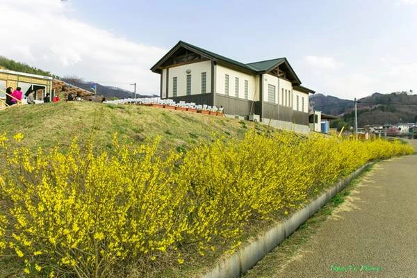 Fukushima là một nơi cách đây 5 năm đã trải qua con sóng thần khủng khiếp, nay đã hồi sinh nhờ bao cố gắng của người dân và chính phủ Nhật. Tới đây bạn sẽ thấy những vườn h oa rực rỡ bên đường đi. Fukushima là một nơi cách đây 5 năm đã trải qua con sóng thần khủng khiếp, nay đã hồi sinh nhờ bao cố gắng của người dân và chính phủ Nhật. Tới đây bạn sẽ thấy những vườn h oa rực rỡ bên đường đi.