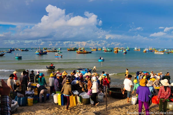 Đến đây bạn cũng đừng bỏ lỡ dịp hòa mình vào phiên chợ cá sôi động đầy màu sắc với đủ những âm thanh rộn rã của một ngày mới. Ảnh: Mèo Già Đến đây bạn cũng đừng bỏ lỡ dịp hòa mình vào phiên chợ cá sôi động đầy màu sắc với đủ những âm thanh rộn rã của một ngày mới. Ảnh: Mèo Già