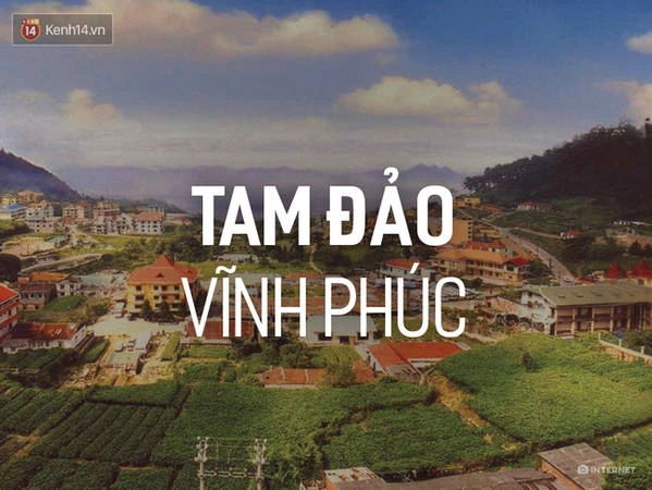 Tam Đảo mù sương từ lâu đã được xem như 1 "Đà Lạt" của riêng Vĩnh Phúc. Vùng huyện ẩn mình trong mây và sương mù này rất được các phượt thủ ưa chuộng. Cảnh sắc ở Tam Đảo vừa huyền ảo, vừa hư thực với các dãy núi trùng điệp, cây cỏ xanh tươi, hoa nở trong lành... khiến bạn dường như không thể rời chân khỏi chốn này.
