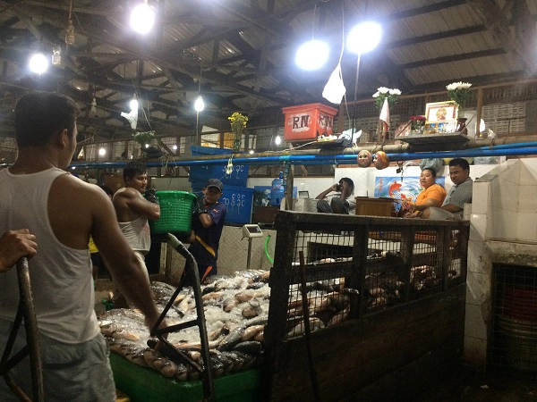Cá được chuyển từ tàu thuyền vào từng sạp hàng đêm ở chợ đầu mối hải sản Yangon, Myanmar - Ảnh: Bông Mai