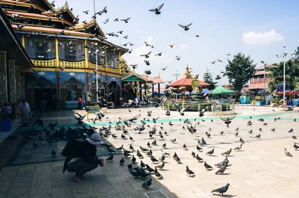 Chùa Phaung Daw Oo - chốn thành tâm cho các phật tử sinh sống ở khu vực lòng hồ Inle