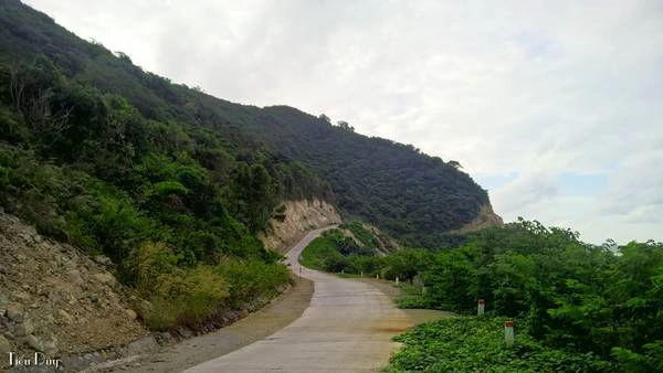 Toàn bộ 21 hòn đảo thuộc quần đảo Nam Du đều có hệ thực vật phong phú với rừng cây xanh bao phủ quanh năm. Dù đi vào bất cứ thời gian nào bạn cũng sẽ cảm nhận được không gian xanh mát mà Nam Du mang lại. Toàn bộ 21 hòn đảo thuộc quần đảo Nam Du đều có hệ thực vật phong phú với rừng cây xanh bao phủ quanh năm. Dù đi vào bất cứ thời gian nào bạn cũng sẽ cảm nhận được không gian xanh mát mà Nam Du mang lại.