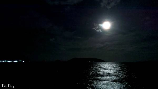 Những đêm trăng sáng, bạn có thể ra bến tàu hoặc bãi Cỏ để ngắm trăng soi trên biển, nghe sóng vỗ, gió thổi vi vu vô cùng lãng mạn. Những đêm trăng sáng, bạn có thể ra bến tàu hoặc bãi Cỏ để ngắm trăng soi trên biển, nghe sóng vỗ, gió thổi vi vu vô cùng lãng mạn.