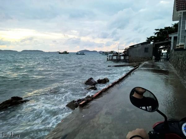 Vào những lúc thủy triều lên cao gặp biển động, sóng đánh rất dữ dội. Đây là con đường vòng quanh đảo ở Bãi Cỏ, sóng đánh ướt cả một đoạn đường chạy xe vô cùng nguy hiểm. Vào những lúc thủy triều lên cao gặp biển động, sóng đánh rất dữ dội. Đây là con đường vòng quanh đảo ở Bãi Cỏ, sóng đánh ướt cả một đoạn đường chạy xe vô cùng nguy hiểm.