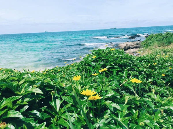 Thời gian này đang cuối mùa mưa, thời điểm thích hợp nhất để đi Phú Quốc theo người dân bản địa là khoảng cuối tháng 10 - tháng 4 là lúc nước xanh và đẹp, không bị mưa nhiều và lặng sóng. Cũng do thời tiết không thực sự tốt nên cô nàng đã phải bỏ lỡ một vài điểm đến trong kế hoạch. Thời gian này đang cuối mùa mưa, thời điểm thích hợp nhất để đi Phú Quốc theo người dân bản địa là khoảng cuối tháng 10 - tháng 4 là lúc nước xanh và đẹp, không bị mưa nhiều và lặng sóng. Cũng do thời tiết không thực sự tốt nên cô nàng đã phải bỏ lỡ một vài điểm đến trong kế hoạch.