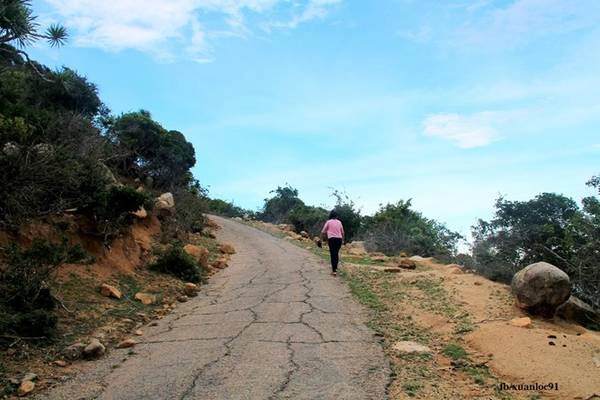 Con đường lên hải đăng dài khoảng 1,5 km, nhưng có độ dốc rất cao nên đi bộ rất mất sức, bù lại cảnh đẹp sẽ khiến bạn giảm bớt nỗi nhọc nhằn. Con đường lên hải đăng dài khoảng 1,5 km, nhưng có độ dốc rất cao nên đi bộ rất mất sức, bù lại cảnh đẹp sẽ khiến bạn giảm bớt nỗi nhọc nhằn.